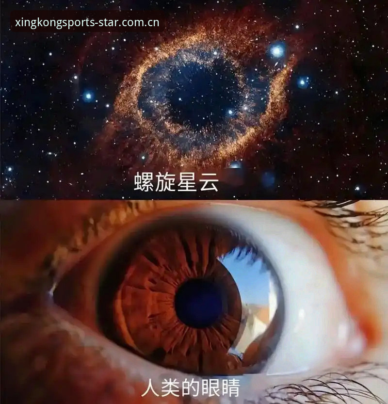 星空体育平台iOS版本安装与信息获取教程：从赛前数据到伤停直击的完整路径